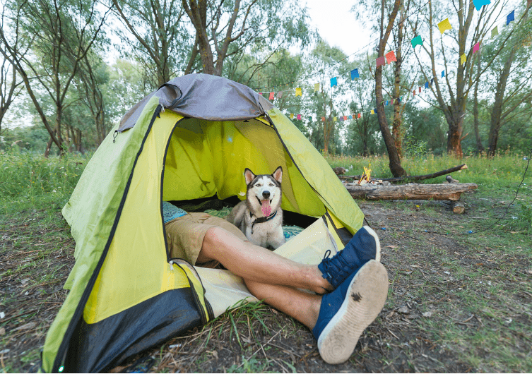 In campeggio con il tuo cane