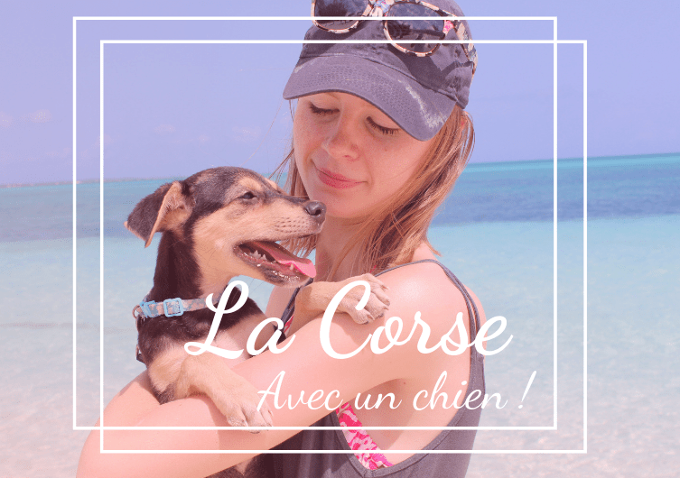 Partir en Corse avec son chien