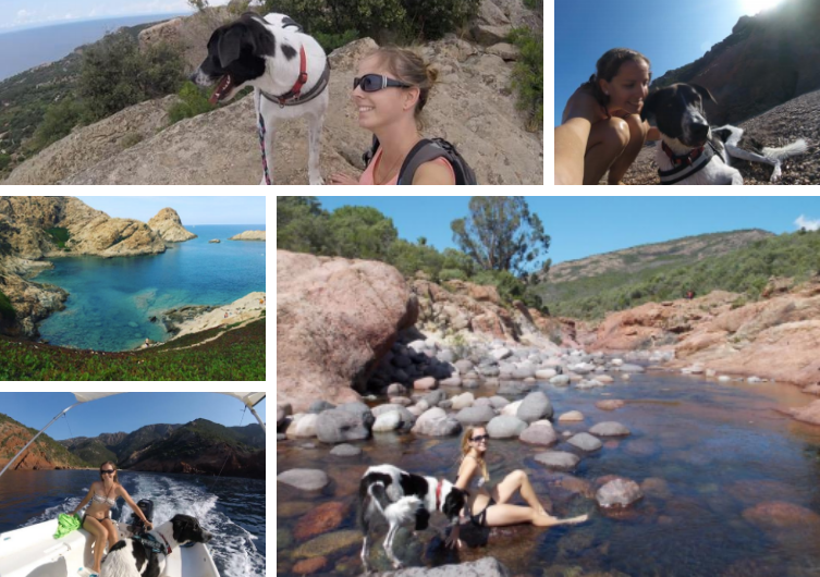 vacances avec son chien en Corse