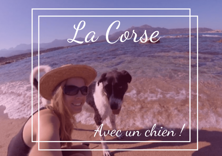 Enjoying your holidays in Corsica with your dog!