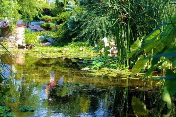 Jardin d’eau d’Annevoie