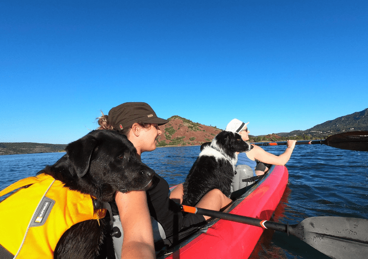 Faire du canoë avec son chien
