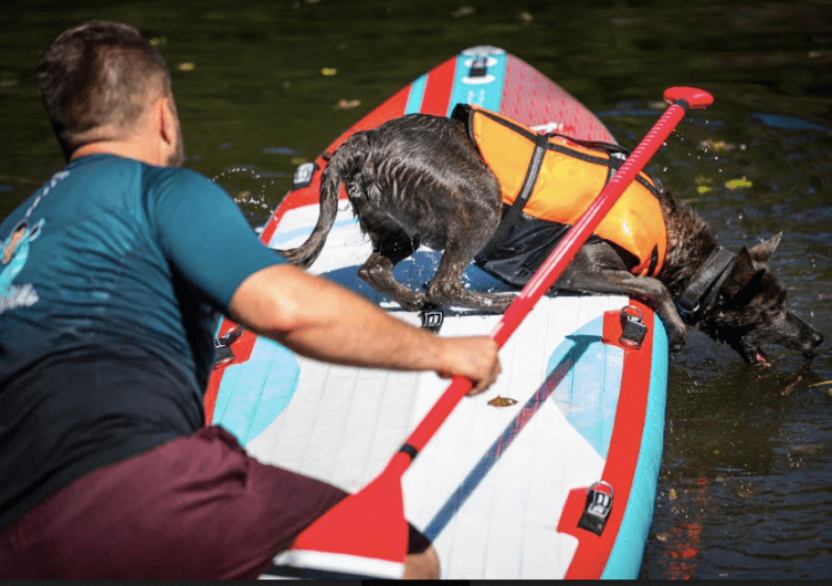 He crosses France on a paddle with his dog