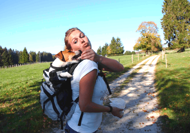 Le sac à dos pour transporter son chien