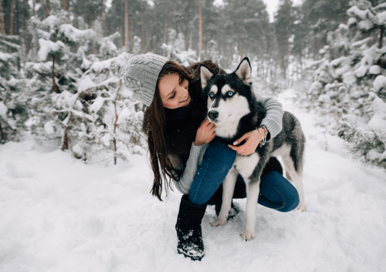 Top 10 des hôtels où partir en vacances avec son chien – Spécial Alpes en hiver