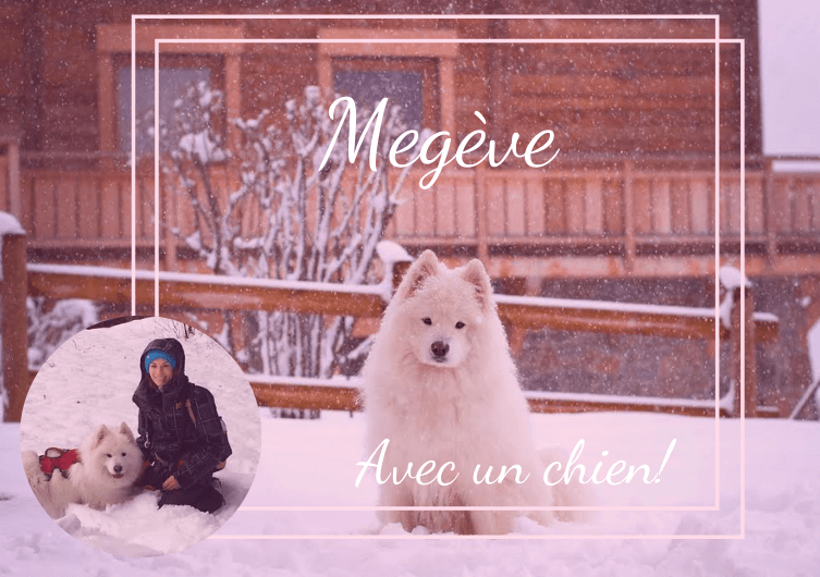 Disfruta de las vacaciones de invierno en Megève con tu perro