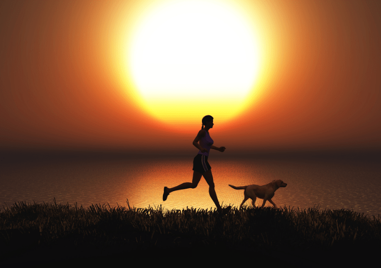 Courir la nuit avec son chien