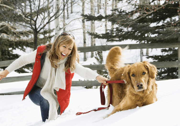 Top 10 affitti “pet friendly” – Speciale Alpi in inverno