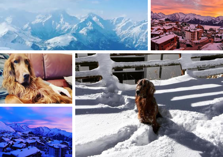 Férias para cães em Alpe d'Huez