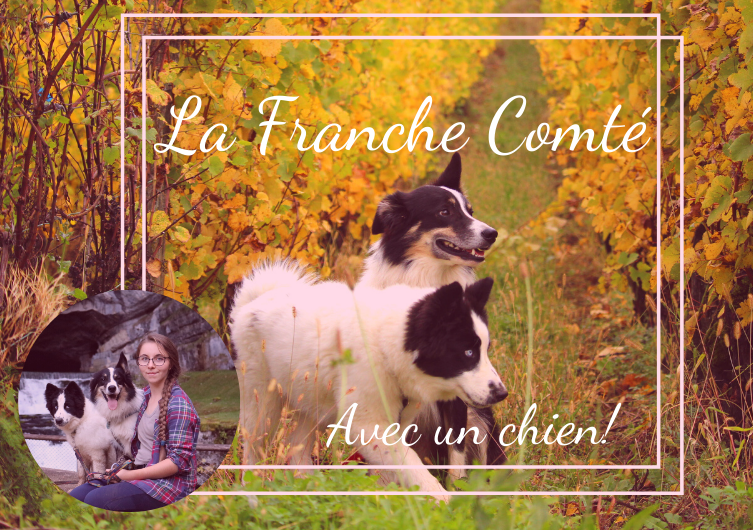 Découvrir la Franche Comté et le Jura avec son chien