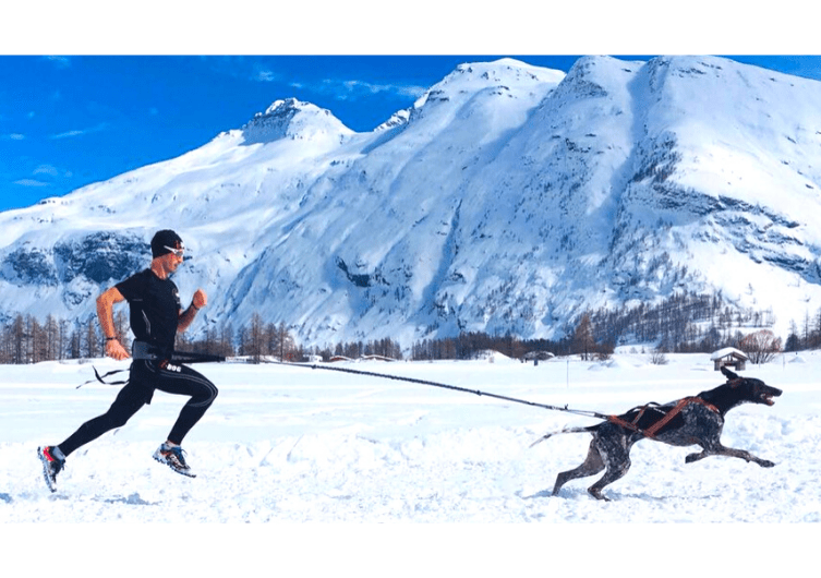 Canicross-blanc – Faire du canicross sur la neige avec son chien