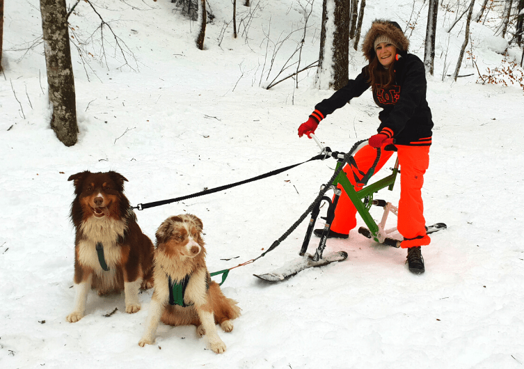 Faire du snowscoot avec son chien