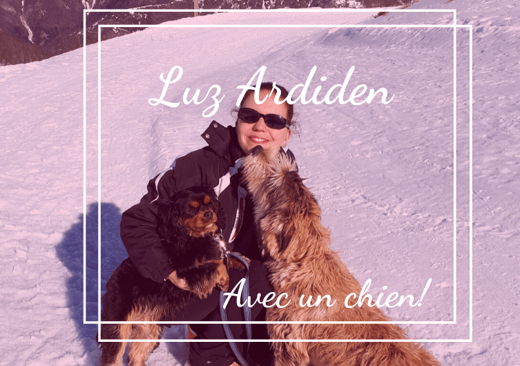 Les Pyrénées avec son chien : on teste Luz Ardiden