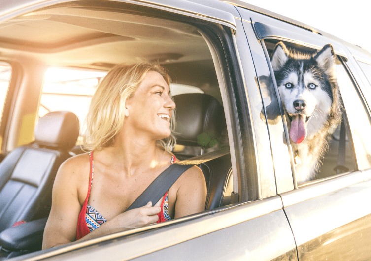 Leave serenely for the weekend with your dog