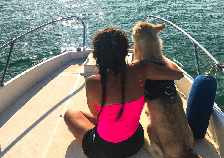 Faire du bateau avec son chien : conseils et astuces de navigateurs
