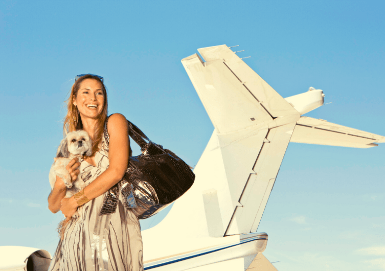 Prendre l’avion avec son chien : témoignages de voyageurs