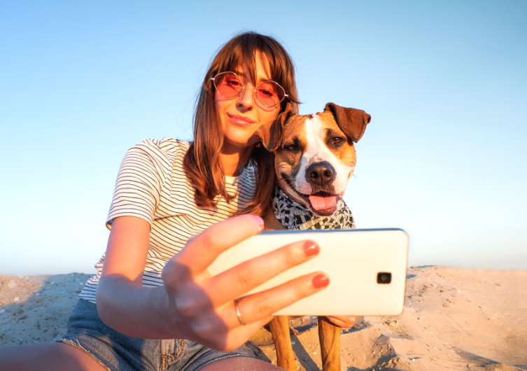 The port of Moricq, a Vendée campsite that loves dogs