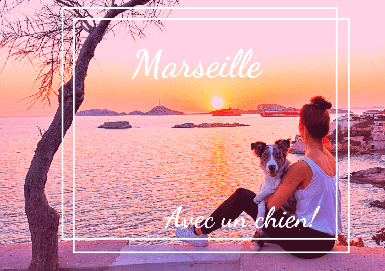 Les secrets de Marseille à découvrir avec son chien
