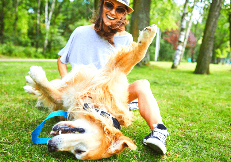 Les Oméga-3, le plus vitalité pour des vacances sportives avec votre chien !