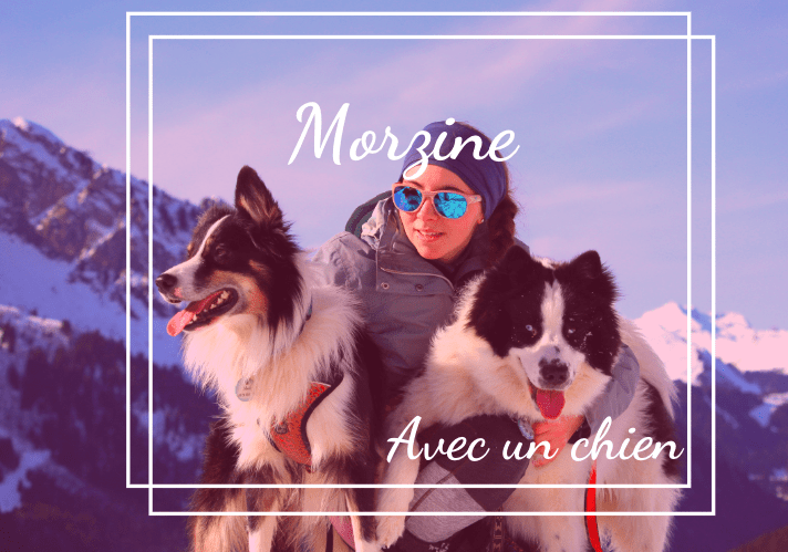 Vacances à Morzine dans les Alpes avec son chien