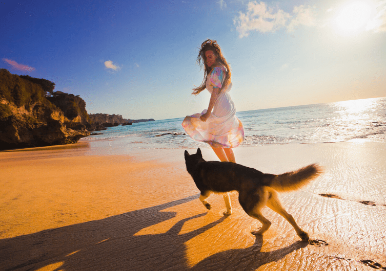 Entdecken Sie die Vendée mit Ihrem Hund für einen unvergesslichen Urlaub!
