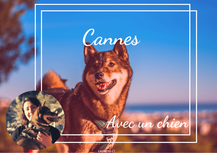 Scopri Cannes e i suoi dintorni con il tuo cane