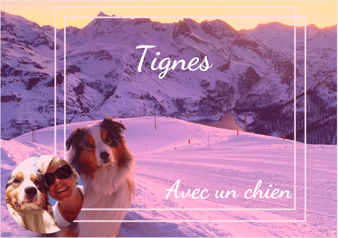 Vacances à Tignes dans les Alpes avec mon chien