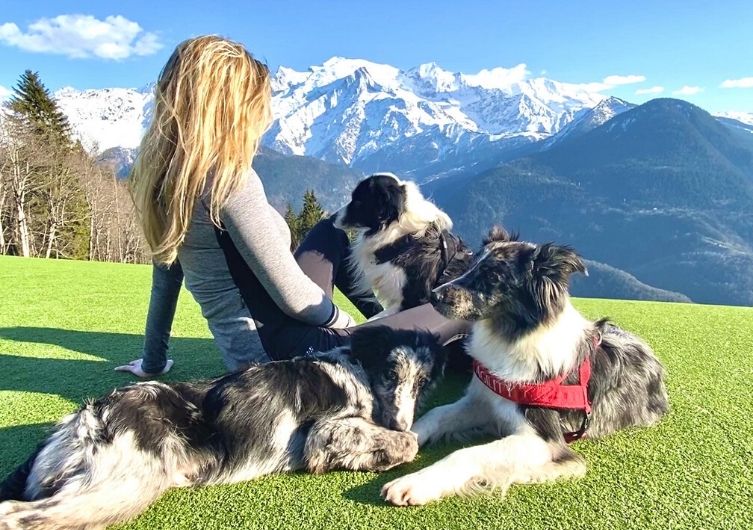 Road trip avec son chien entre le jura et la haute Savoie