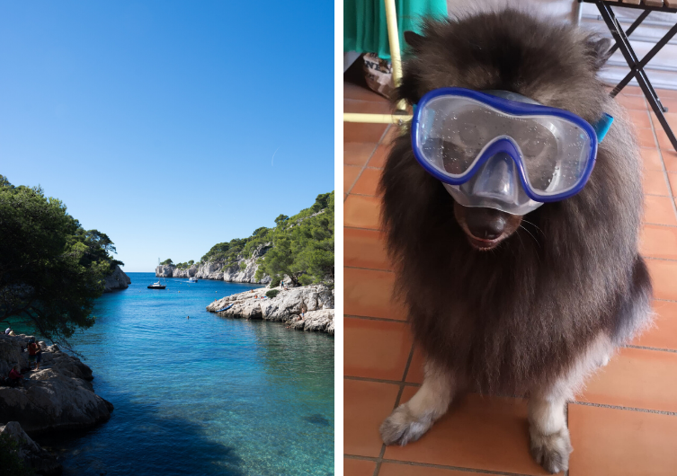 Cassis com seu cachorro - férias caninas - cachorro PACA - EmmèneTonChien