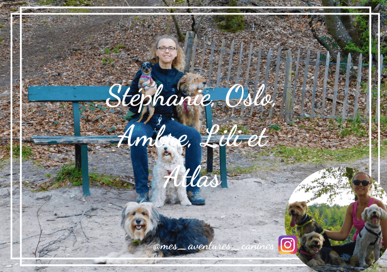 Stéphanie und ihre vier Hunde – abenteuerlustig