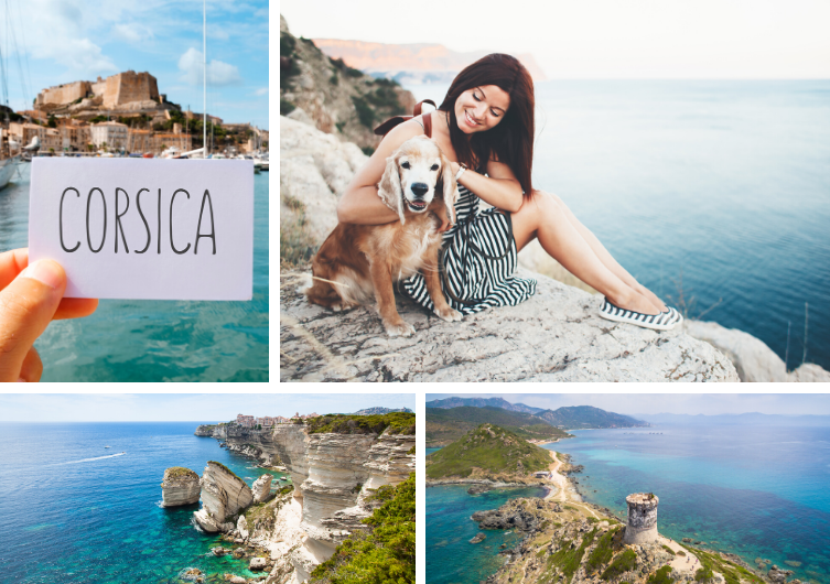 vacation in Corsica with your dog