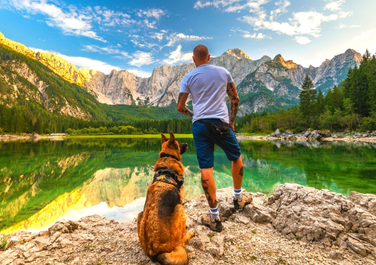 Les 10 plus beaux lacs autorisés aux chiens en France