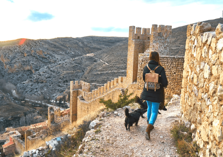 Top 10 des châteaux à visiter avec son chien