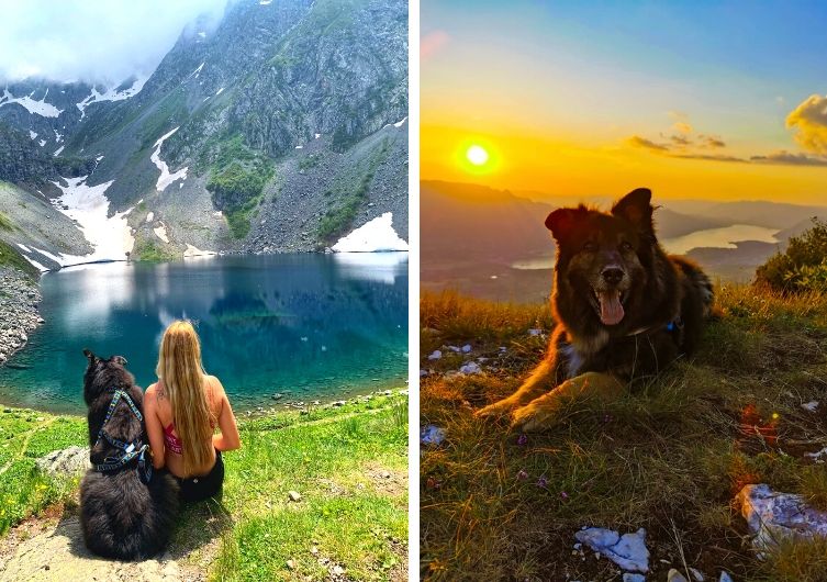 Lac de Savoie avec son chien