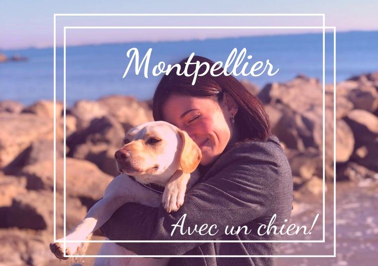 Que faire à Montpellier avec son chien? Bons plans et découvertes …