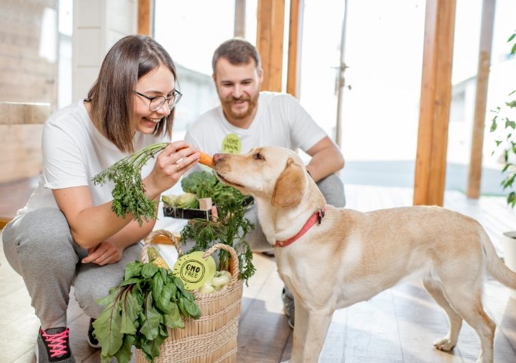 Le top 5 des fruits et légumes d’été parfaits pour votre chien en vacances