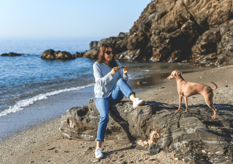Les dangers à éviter sur la plage avec son chien