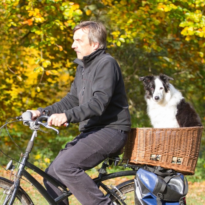 Comparatif paniers et remorques vélo pour chien 🚵‍♀ 🐕