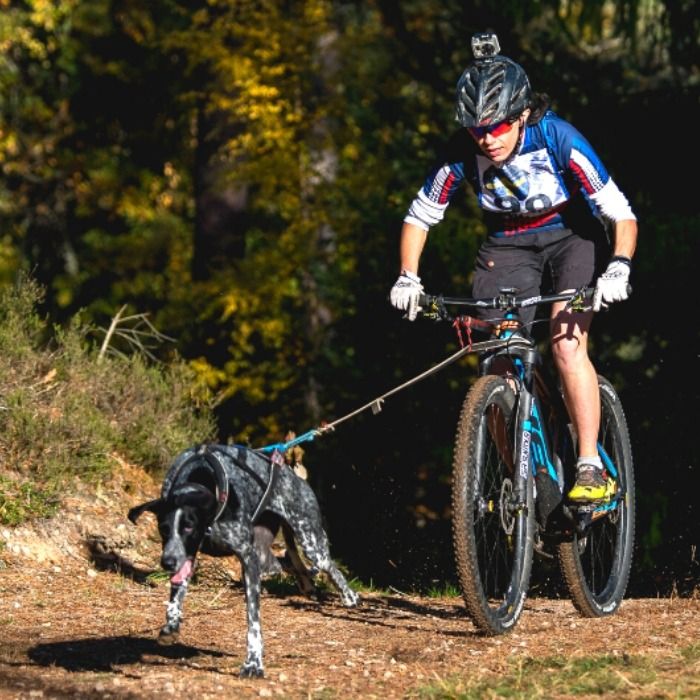 Dog Runner - Accessoire cani-vtt pour faire du vélo avec son chien