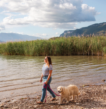 baignade autorisée pour les chiens au lac du bourget en savoie