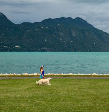 plage chien accepté lac du bourget savoie @itineramagica