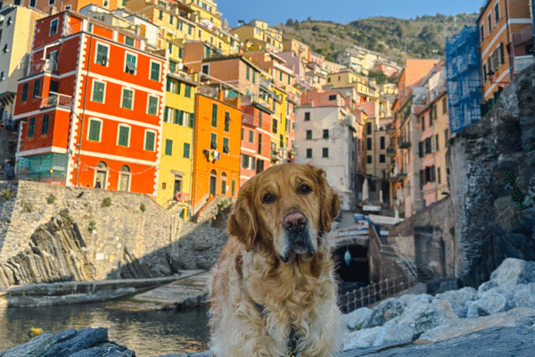 5 incontournables aux Cinque Terre avec son chien (Italie)