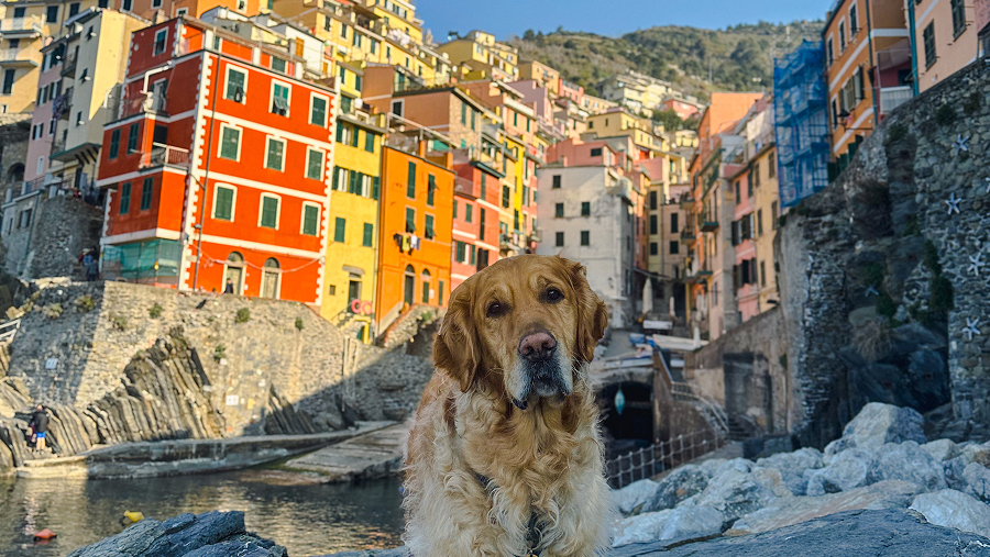 5 incontournables aux Cinque Terre avec son chien (Italie)