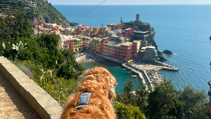 chien qui regarde le point de vue sur le village de Vernazza en Italie