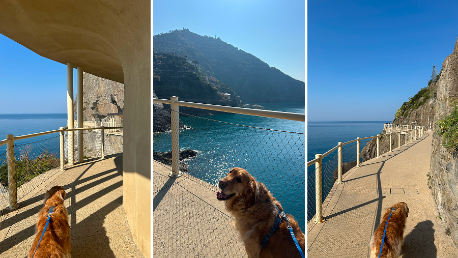 Chemin des amoureux avec un chien sur la Via Dall Amore en Italie aux Cinque Terre