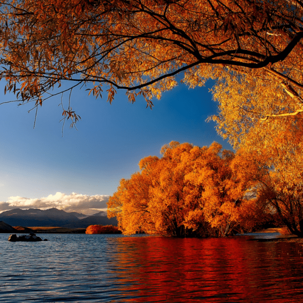 le lac reflète les couleurs des arbres qui perdent leurs feuilles en automne