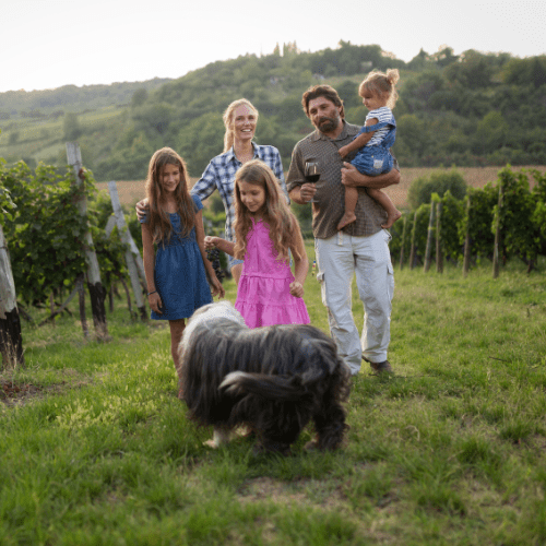 Une famille avec des enfants et un grand chien se promène sur le sentier des vignes en Ardèche