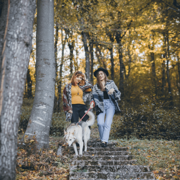 deux femmes et un chien se promène dans la forêt en automne