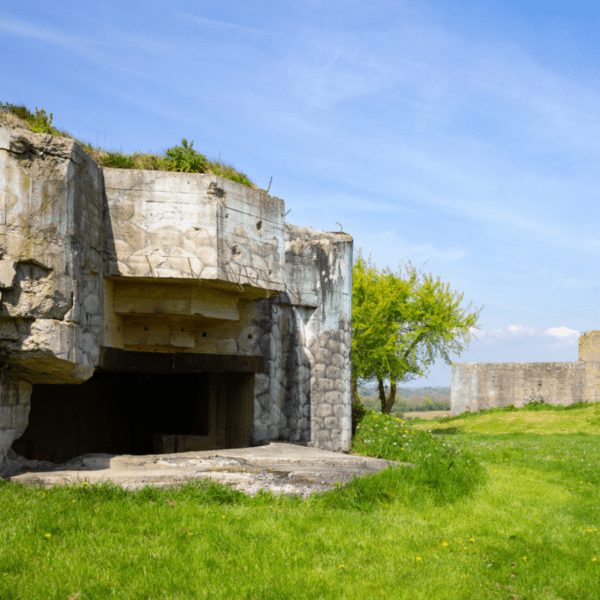 la visite de la batterie d'Azeville et ses bunkers est accessible aux chiens