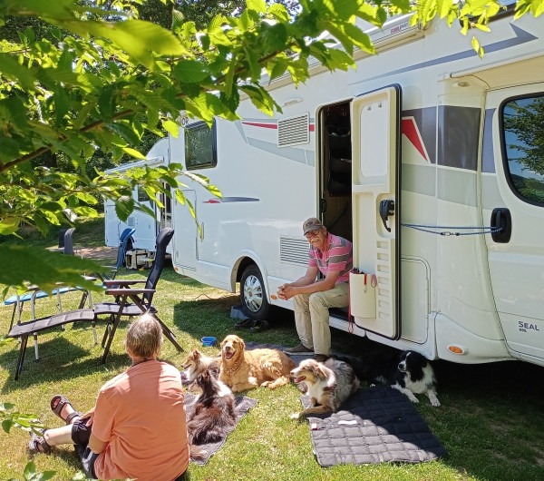 Camping Lefébure - chien accepte